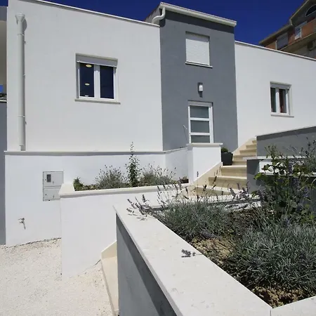 Domus *